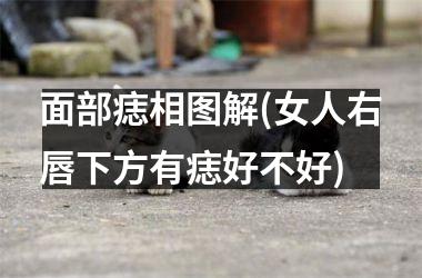 <h3>面部痣相图解(女人右唇下方有痣好不好)