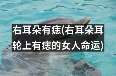 <h3>右耳朵有痣(右耳朵耳轮上有痣的女人命运)