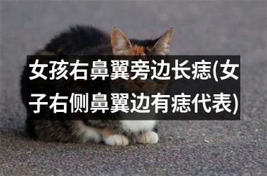 女孩右鼻翼旁边长痣(女子右侧鼻翼边有痣代表)