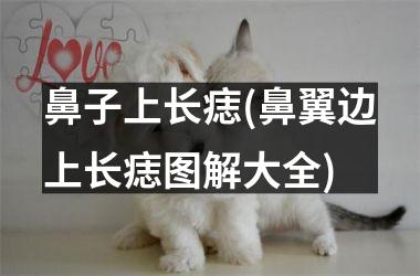 <h3>鼻子上长痣(鼻翼边上长痣图解大全)