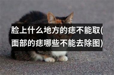 <h3>脸上什么地方的痣不能取(面部的痣哪些不能去除图)