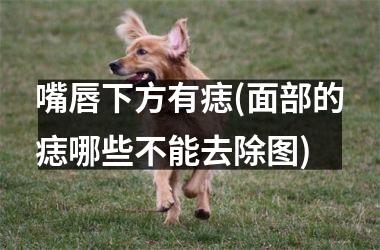 <h3>嘴唇下方有痣(面部的痣哪些不能去除图)