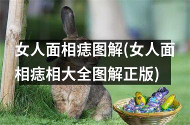 女人面相痣图解(女人面相痣相大全图解正版)
