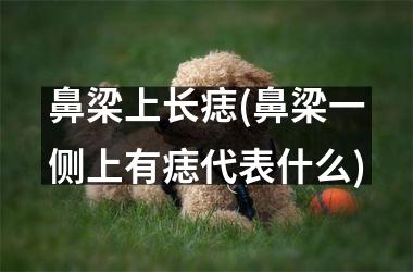 <h3>鼻梁上长痣(鼻梁一侧上有痣代表什么)