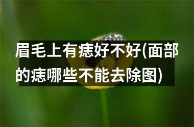 眉毛上有痣好不好(面部的痣哪些不能去除图)