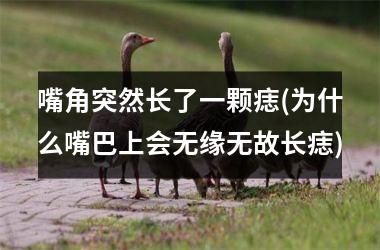 嘴角突然长了一颗痣(为什么嘴巴上会无缘无故长痣)