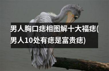 男人胸口痣相图解十大福痣(男人10处有痣是富贵痣)