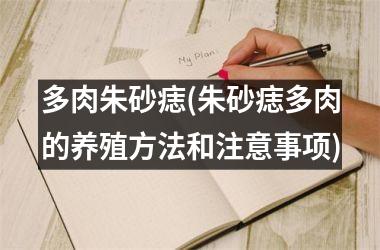 多肉朱砂痣(朱砂痣多肉的养殖方法和注意事项)