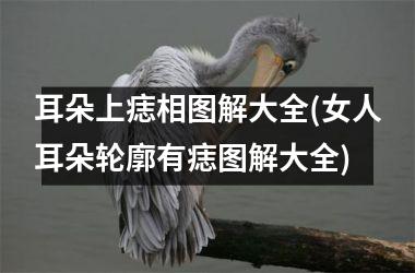<h3>耳朵上痣相图解大全(女人耳朵轮廓有痣图解大全)