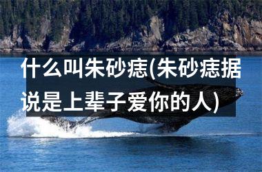 <h3>什么叫朱砂痣(朱砂痣据说是上辈子爱你的人)