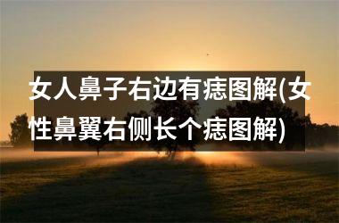 女人鼻子右边有痣图解(女性鼻翼右侧长个痣图解)