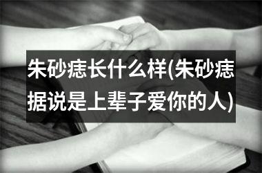 <h3>朱砂痣长什么样(朱砂痣据说是上辈子爱你的人)