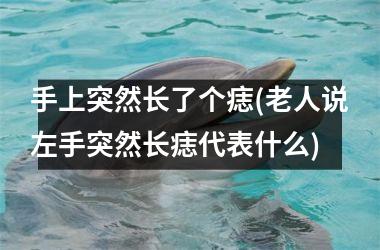 手上突然长了个痣(老人说左手突然长痣代表什么)