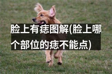 脸上有痣图解(脸上哪个部位的痣不能点)