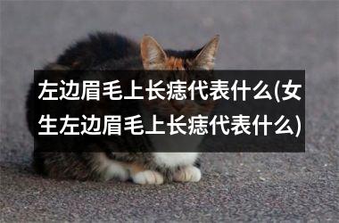 左边眉毛上长痣代表什么(女生左边眉毛上长痣代表什么)