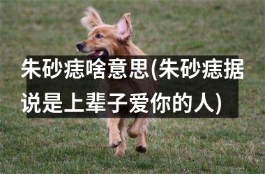 朱砂痣啥意思(朱砂痣据说是上辈子爱你的人)