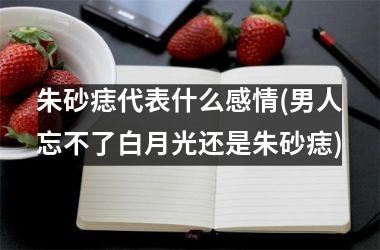 <h3>朱砂痣代表什么感情(男人忘不了白月光还是朱砂痣)