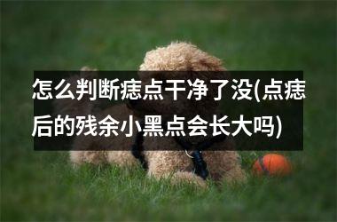 <h3>怎么判断痣点干净了没(点痣后的残余小黑点会长大吗)