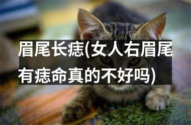 <h3>眉尾长痣(女人右眉尾有痣命真的不好吗)