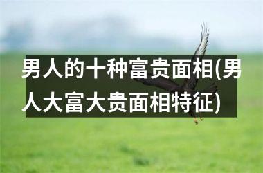 <h3>男人的十种富贵面相(男人大富大贵面相特征)