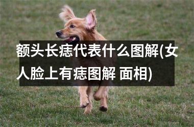 额头长痣代表什么图解(女人脸上有痣图解 面相)