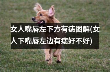 <h3>女人嘴唇左下方有痣图解(女人下嘴唇左边有痣好不好)