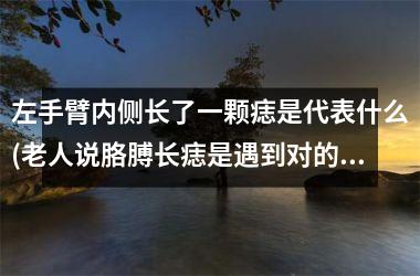 <h3>左手臂内侧长了一颗痣是代表什么(老人说胳膊长痣是遇到对的人)