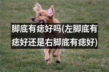 脚底有痣好吗(左脚底有痣好还是右脚底有痣好)