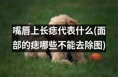 <h3>嘴唇上长痣代表什么(面部的痣哪些不能去除图)