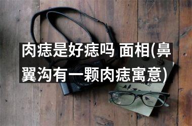 <h3>肉痣是好痣吗 面相(鼻翼沟有一颗肉痣寓意)