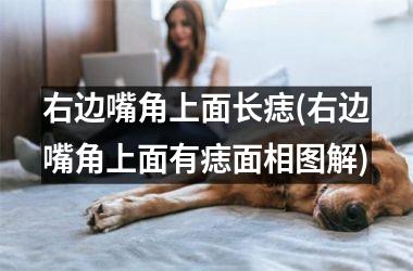 右边嘴角上面长痣(右边嘴角上面有痣面相图解)
