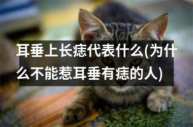 耳垂上长痣代表什么(为什么不能惹耳垂有痣的人)