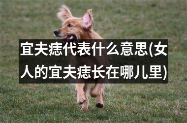 <h3>宜夫痣代表什么意思(女人的宜夫痣长在哪儿里)