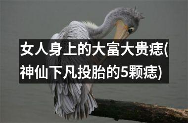 <h3>女人身上的大富大贵痣(神仙下凡投胎的5颗痣)