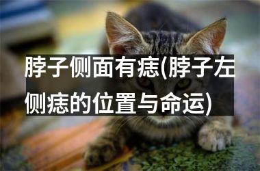 <h3>脖子侧面有痣(脖子左侧痣的位置与命运)
