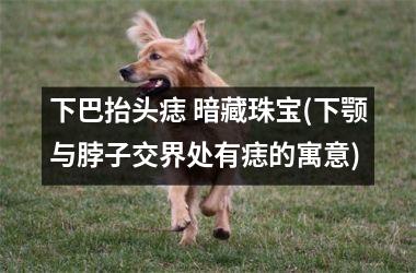 下巴抬头痣 暗藏珠宝(下颚与脖子交界处有痣的寓意)