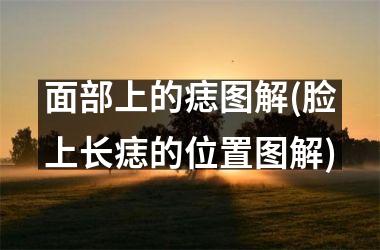 面部上的痣图解(脸上长痣的位置图解)