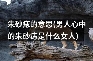 <h3>朱砂痣的意思(男人心中的朱砂痣是什么女人)