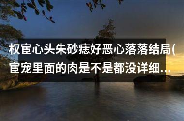 <h3>权宦心头朱砂痣好恶心落落结局(宦宠里面的肉是不是都没详细写)