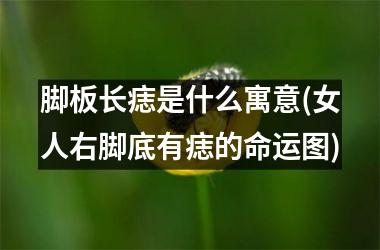 脚板长痣是什么寓意(女人右脚底有痣的命运图)