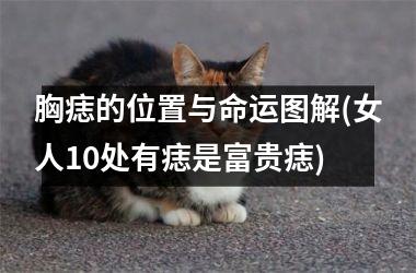 <h3>胸痣的位置与命运图解(女人10处有痣是富贵痣)