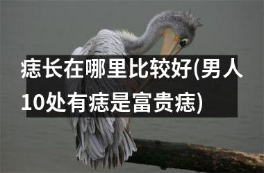 <h3>痣长在哪里比较好(男人10处有痣是富贵痣)