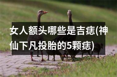女人额头哪些是吉痣(神仙下凡投胎的5颗痣)