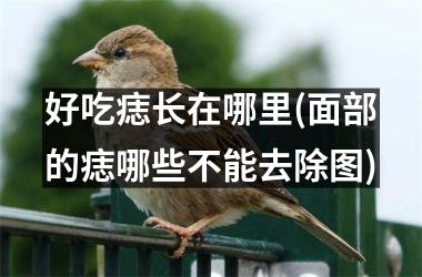 好吃痣长在哪里(面部的痣哪些不能去除图)