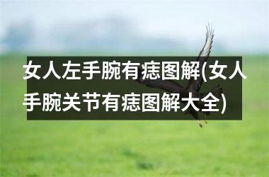 女人左手腕有痣图解(女人手腕关节有痣图解大全)
