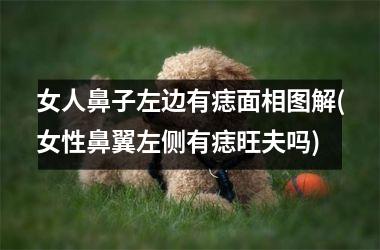 <h3>女人鼻子左边有痣面相图解(女性鼻翼左侧有痣旺夫吗)