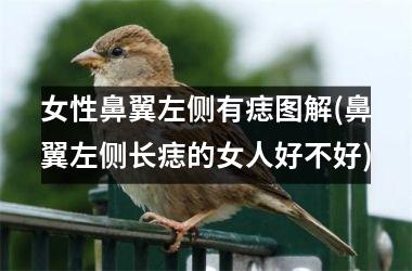 女性鼻翼左侧有痣图解(鼻翼左侧长痣的女人好不好)