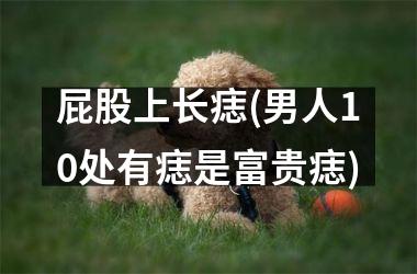 屁股上长痣(男人10处有痣是富贵痣)