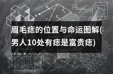 眉毛痣的位置与命运图解(男人10处有痣是富贵痣)