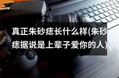 真正朱砂痣长什么样(朱砂痣据说是上辈子爱你的人)